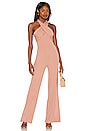 view 1 of 3 Tyra Jumpsuit in Nude