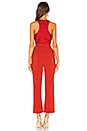 view 3 of 3 Gardanome Jumpsuit in Magenta & Red