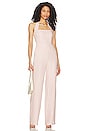 view 1 of 3 Zoie Jumpsuit in Blush