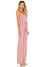 view 2 of 3 Kenzie Jumpsuit in Mauve