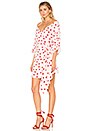 view 2 of 3 Gabriel Dress in Strawberry
