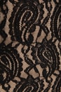 view 6 of 6 Vanity Fair Dress in Black Lace