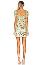view 3 of 3 Kenna Mini Dress in Sage Floral