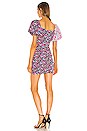 view 3 of 3 Meyer Mini Dress in Mixed Floral