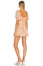 view 3 of 4 Pearl Mini Dress in Tangerine Floral
