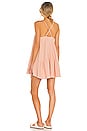 view 3 of 4 Loki Mini Dress in Pink Champagne
