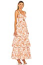 view 2 of 3 Corey Maxi Dress in Caramel Brown Floral