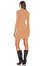 view 4 of 4 Mattia Turtleneck Dress in Cork Brown