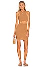 view 1 of 4 Francesca Dress in Tan