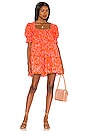 view 1 of 3 Reston Mini Dress in Mitzy Ditsy