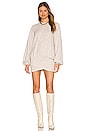 view 1 of 3 Williams Mini Dress in Light Grey