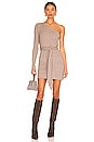 view 1 of 4 Sierra Mini Dress in Chestnut Brown