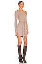 view 2 of 4 Sierra Mini Dress in Chestnut Brown
