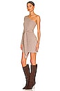 view 3 of 4 Sierra Mini Dress in Chestnut Brown