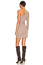 view 4 of 4 Sierra Mini Dress in Chestnut Brown