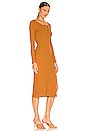 view 2 of 3 Corinne Midi Dress in Ginger Brown