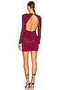 view 4 of 5 Kloss Mini Dress in Maroon Red