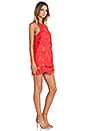 view 2 of 4 Caspian Shift Dress in Coral