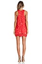 view 3 of 4 Caspian Shift Dress in Coral