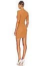 view 3 of 3 Bella Mini Dress in Camel