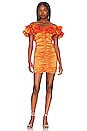 Nikolina Ruched Dress in Orange