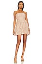 Barlow Mini Dress in Rosey Neutral