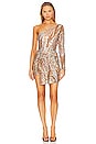 view 1 of 4 Amaryllis Mini Dress in Stardust Multi