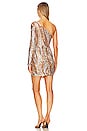 view 3 of 4 Amaryllis Mini Dress in Stardust Multi