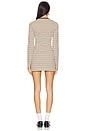 view 3 of 4 Corbyn Dress in Tan Stripe