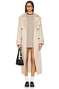 view 4 of 4 Corbyn Dress in Tan Stripe