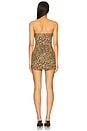view 4 of 4 Drew Mini Dress in Leopard