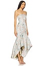 view 2 of 4 Urgonia Gown in Blush And Blue
