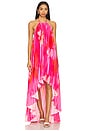 view 4 of 4 Gia Maxi Dress in Pink Floral Multi