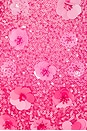 view 4 of 4 Biarritz Sequin Mini Dress in Pink Sunset Multi