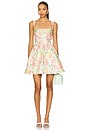 view 1 of 3 Ivy Mini Dress in Pink And Green Multi