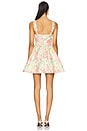 view 3 of 3 Ivy Mini Dress in Pink And Green Multi