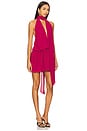 view 2 of 3 Michelle Mini Dress in Berry Red