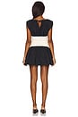 view 3 of 3 Jayden Mini Dress in Black & Cream