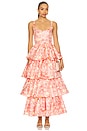 view 1 of 3 Francesca Maxi Dress in Pink & Yellow Floral