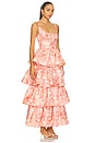 view 2 of 3 Francesca Maxi Dress in Pink & Yellow Floral