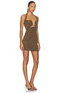 view 2 of 3 Tamara Mini Dress in Brown