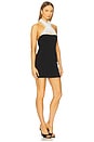 view 2 of 3 Dita Mini Dress in Black & White