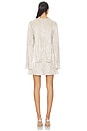 view 4 of 5 Kit Mini Dress in Champagne Metallic