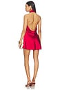 view 4 of 4 Estelle Mini Dress in Deep Red