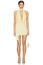 view 1 of 3 Nova Mini Dress in Butter Yellow
