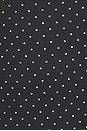 view 4 of 4 ROBE ROSEMARY in Black Polka Dot