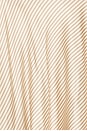 view 4 of 4 Montse Mini Dress in Tan & Brown Stripe