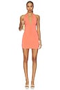 view 1 of 3 Lupa Mini Dress in Coral