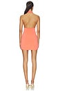 view 3 of 3 Lupa Mini Dress in Coral