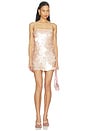 view 1 of 4 Elise Mini Dress in Champagne